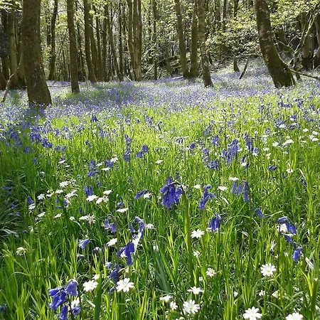 Thornthwaite Farm Semesterbostad *