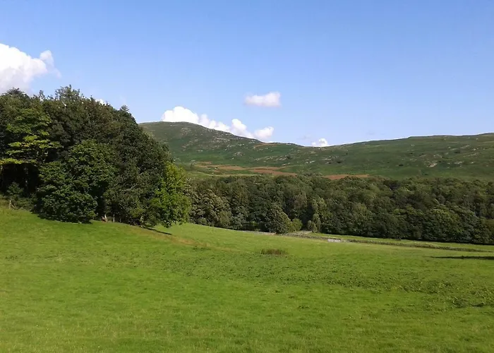 度假居 通瑟维农场度假屋 *